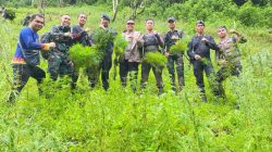 Tim Gabungan Kodim 0212