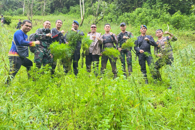 Tim Gabungan Kodim 0212