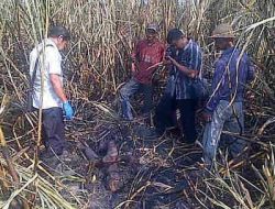 Kebun Tebu Terbakar di Sragen, Petani Ditemukan Tewas dengan Luka Bakar 80 Persen