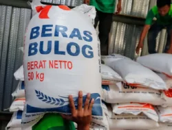 Bulog Sumut segera salurkan jagung SPHP untuk peternak skala mikro