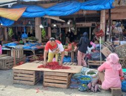 Stok Telur Kol hingga Tomat Mulai Langka Cabai Merah Rp 250 ribu per kg