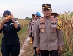 Dukung Kemandirian Pangan Kapolda Metro Tinjau Green House di Bekasi