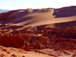 Ilmuwan Temukan Kehidupan di Gurun Terkering Bumi