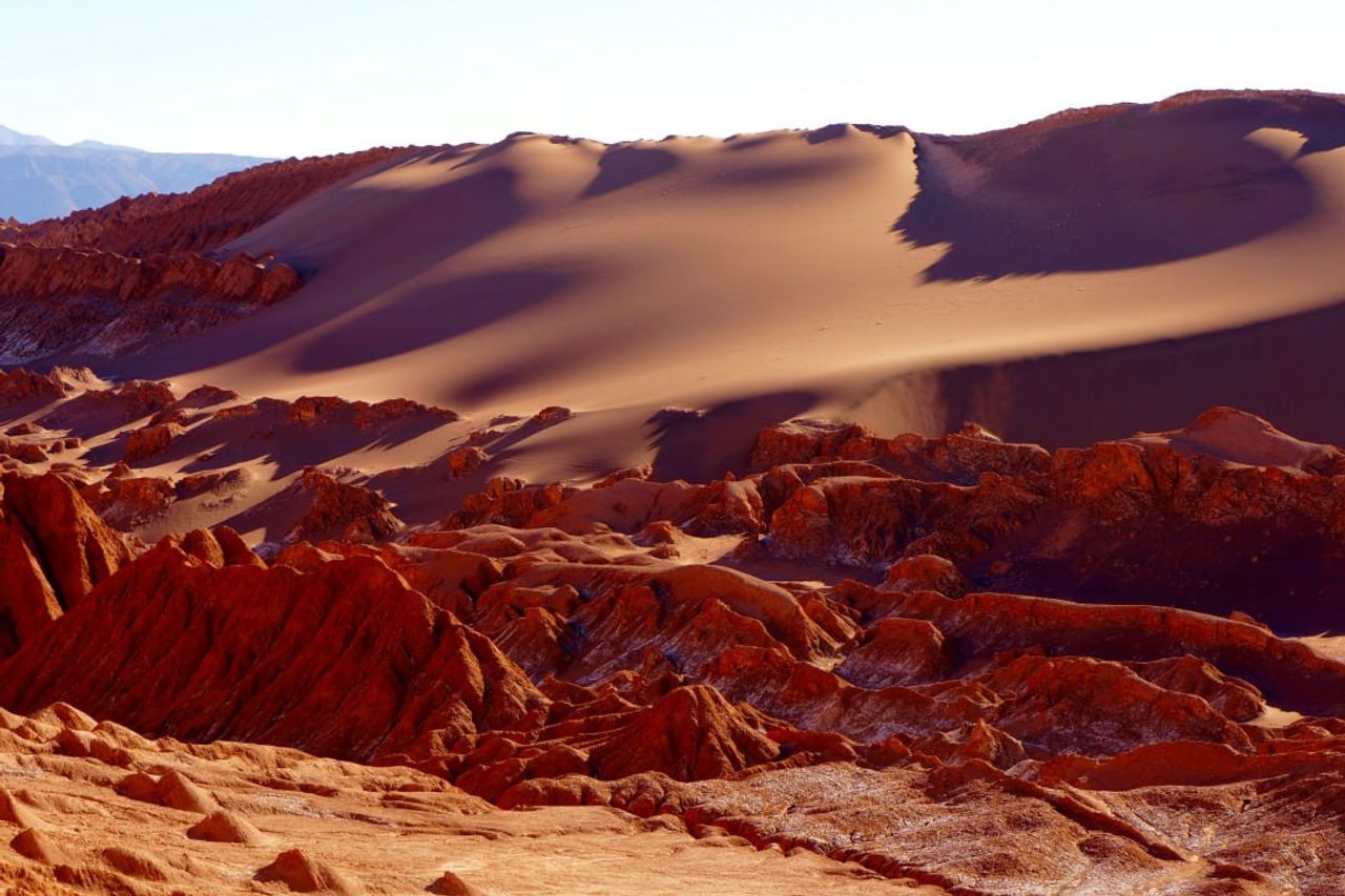 Ilmuwan Temukan Kehidupan