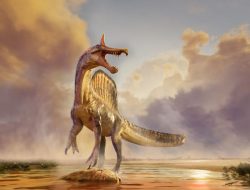 Spesies Dinosaurus Baru Terungkap di Gurun Si Raksasa Pemakan Ikan