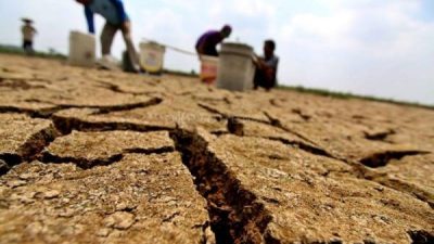 BPBD DKI Sebut Kawasan Cipedak Jaksel Rawan Kekeringan